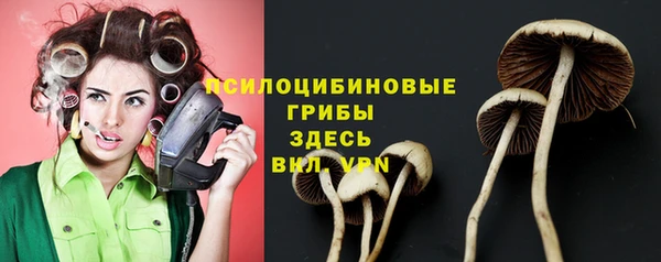 винт Михайловск