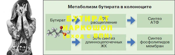 прущие грибы Белокуриха