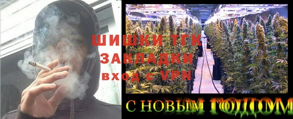 прущие грибы Белокуриха