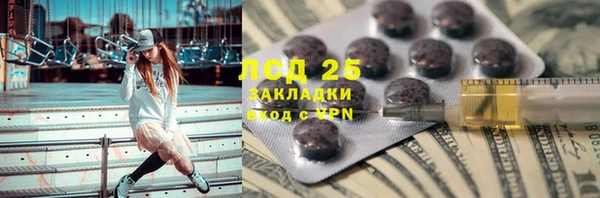 прущие грибы Белокуриха