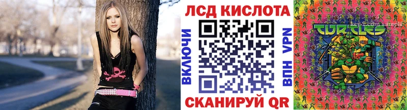 omg рабочий сайт  закладки  Судогда  Наркотические марки 1,8мг 