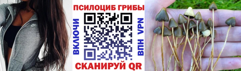 Галлюциногенные грибы ЛСД  Судогда 